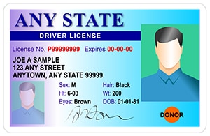 driverslicense300 driverslicense300